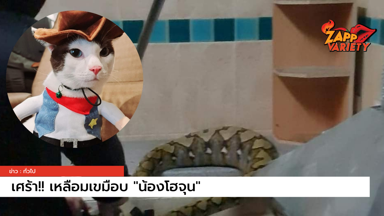 โพสต์สุดสะเทือน 