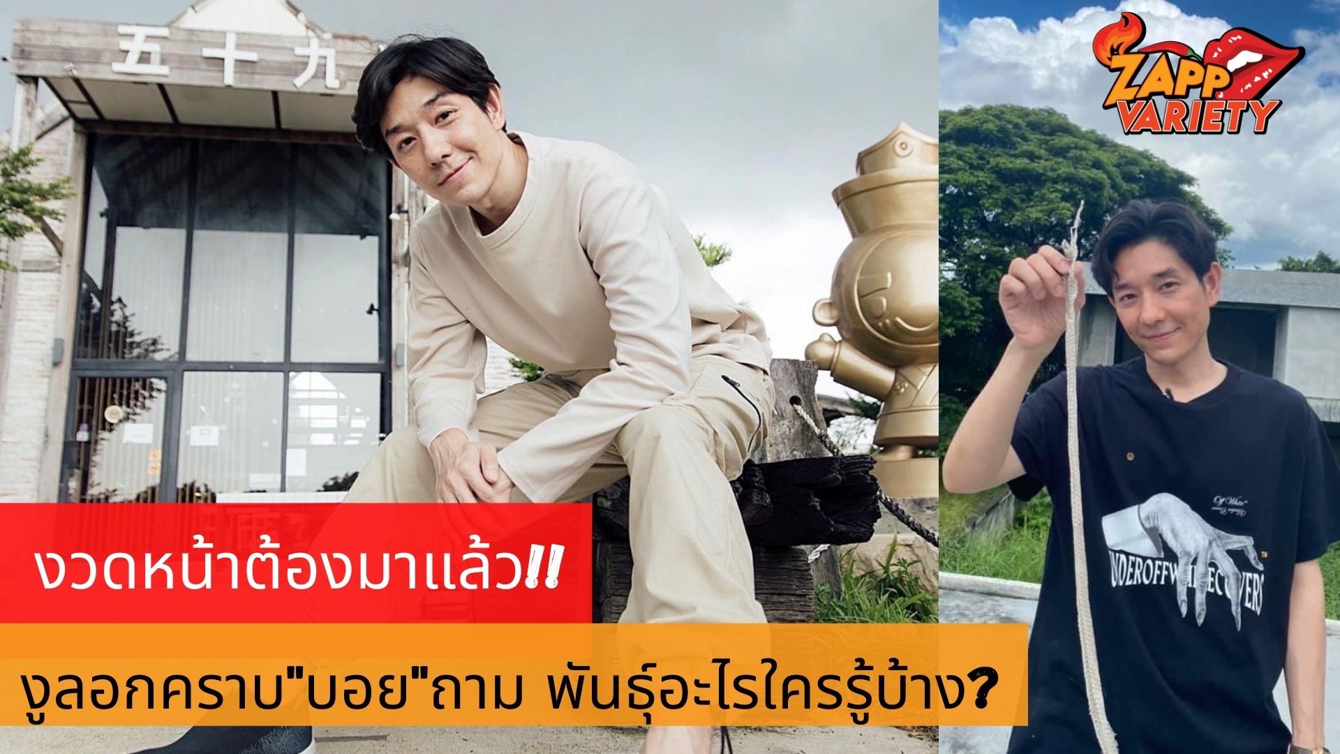งวดหน้าต้องมาแล้วเล่นทิ้งไว้ให้ดูต่างหน้า 