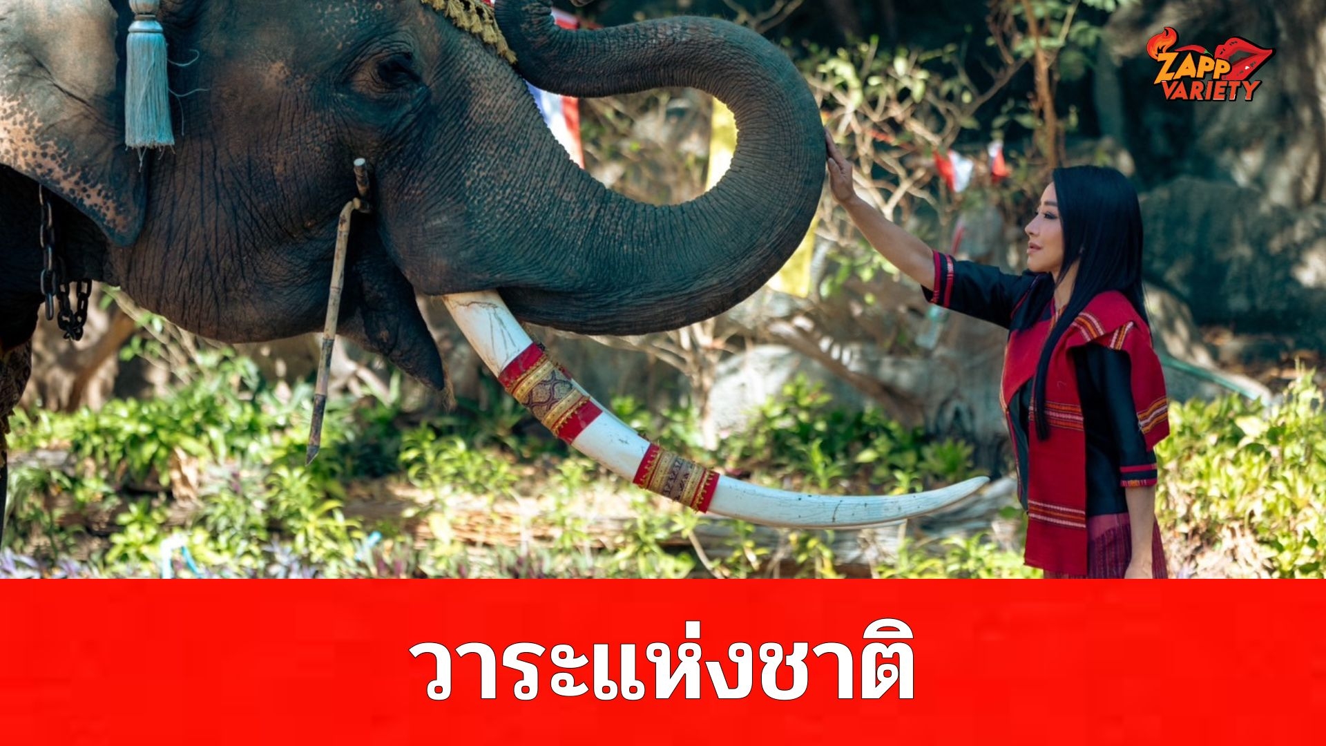 อีกวาระแห่งชาติ ช้างสีดอหูพับ ปลา บลา บลา สะเทือนใจ เร่งหาทางออก ไม่ให้เกิดเหตุซ้ำ